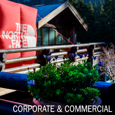 Corporate & Commercial